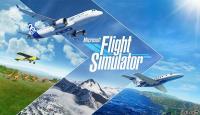 Microsoft flight simalator2020(online and offline